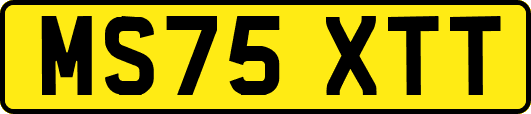 MS75XTT