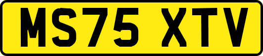 MS75XTV