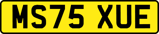 MS75XUE