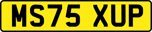 MS75XUP