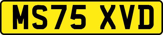MS75XVD