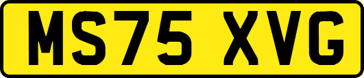 MS75XVG