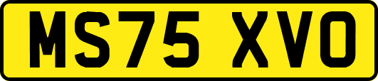 MS75XVO
