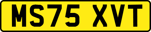 MS75XVT