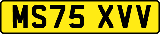 MS75XVV