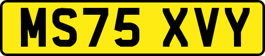 MS75XVY