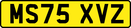MS75XVZ