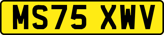 MS75XWV