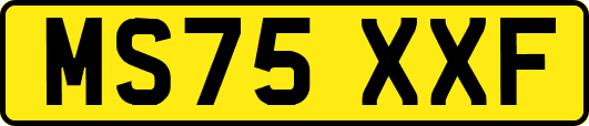 MS75XXF