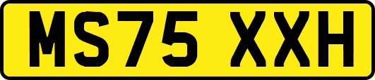 MS75XXH