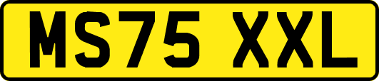 MS75XXL