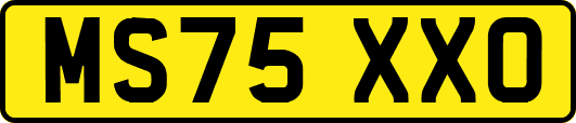 MS75XXO