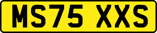 MS75XXS