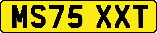 MS75XXT