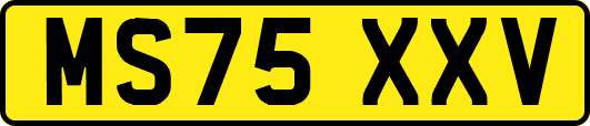 MS75XXV