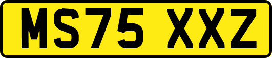 MS75XXZ