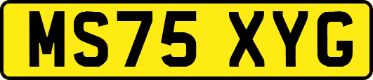 MS75XYG