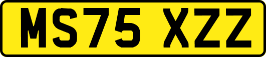 MS75XZZ