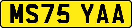 MS75YAA