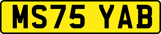 MS75YAB