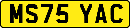 MS75YAC