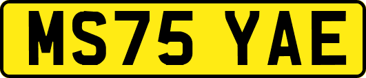 MS75YAE