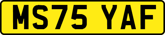 MS75YAF