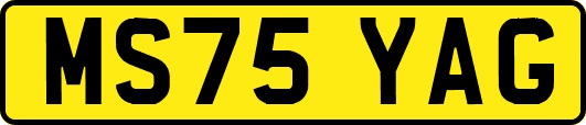 MS75YAG