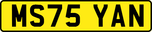 MS75YAN