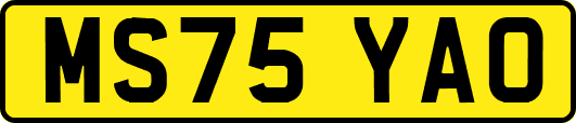 MS75YAO