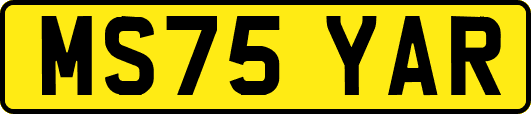 MS75YAR