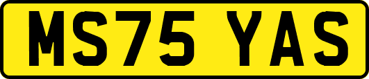 MS75YAS