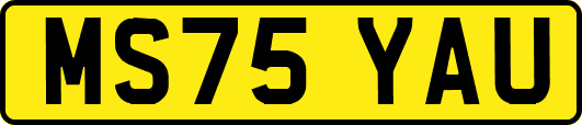 MS75YAU