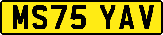 MS75YAV