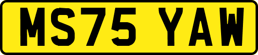 MS75YAW