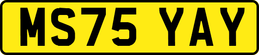 MS75YAY