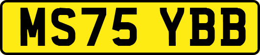 MS75YBB