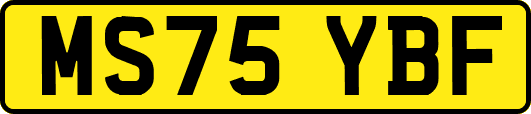 MS75YBF