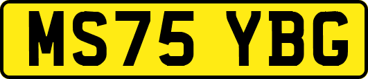 MS75YBG