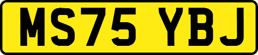 MS75YBJ
