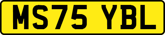 MS75YBL