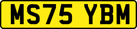 MS75YBM