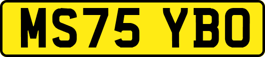 MS75YBO