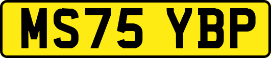 MS75YBP