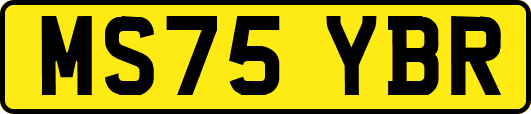 MS75YBR