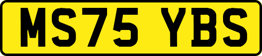 MS75YBS