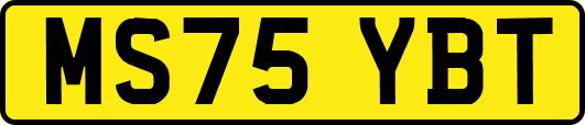 MS75YBT