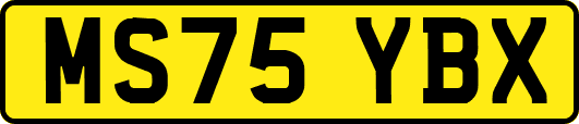 MS75YBX