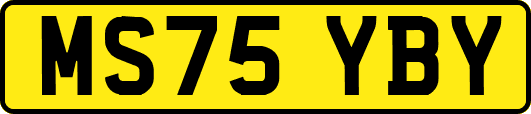 MS75YBY