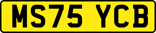 MS75YCB